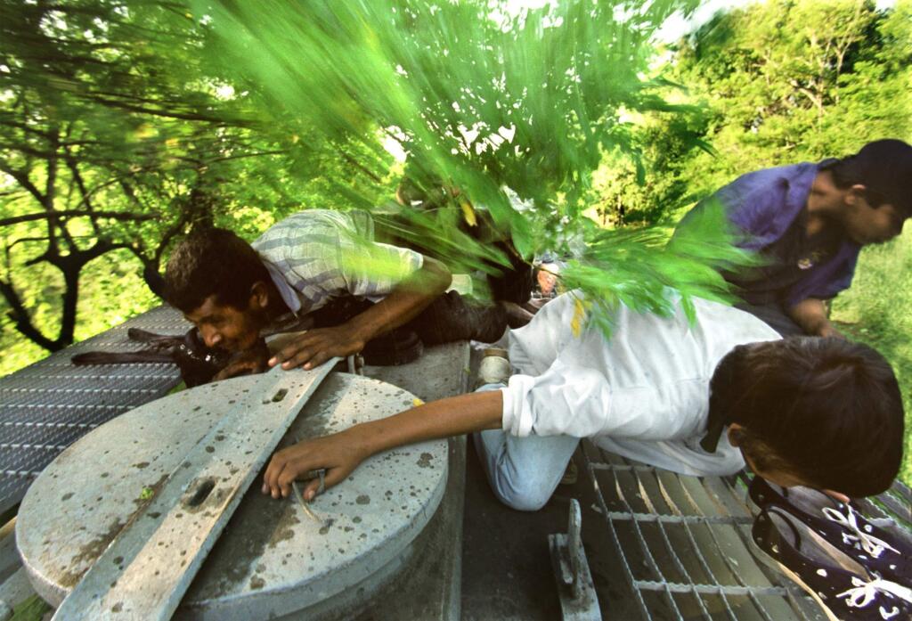 Honduran-born Denis Contreras, right front, ducks beneath tree branches whizzing overhead as he and other stowaways ride atop a speeding freight train in Chiapas, Mexico on Aug. 4, 2000. Migrants call the train “The Beast” for the merciless and life-threatening hazards experienced on the journey to the U.S. border. (DON BARLETTI / Los Angeles Times)