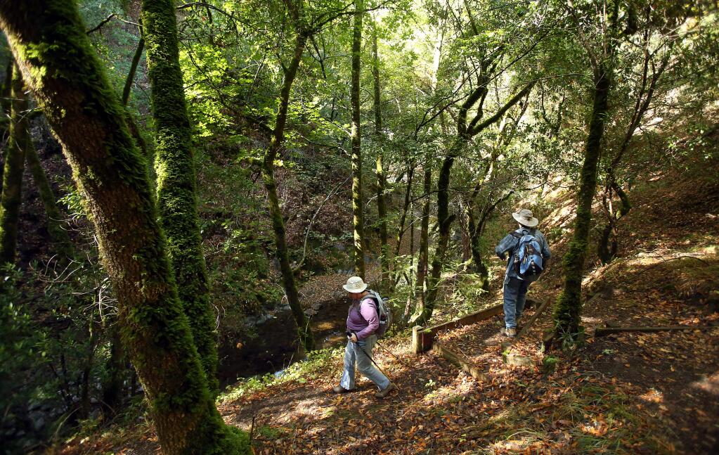 Janet and Bill Tonkin hike down to Santa Rosa Creek as they explore Hood Mountain Regional Park near Santa Rosa on Tuesday, Oct. 1, 2013. (Christopher Chung/ The Press Democrat)
