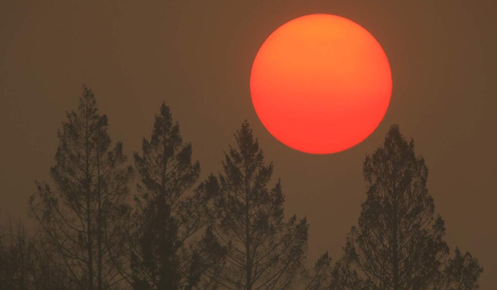 Smoke from the Camp fire in Butte County turns the sun orange as it sets on Novl. 9 behind trees that were burned during the Tubbs fire. (KENT PORTER / The Press Democrat)