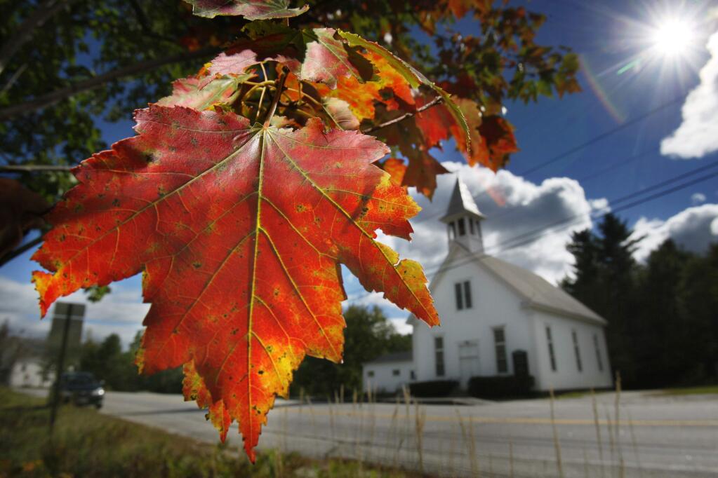 FILE - In this Sept. 17, 2010 file photo, a maple tree shows its fall colors in Woodstock, Maine. New England's 2017 fall foliage forecast is very favorable for leaf peeping. (AP Photo/Robert F. Bukaty, File)