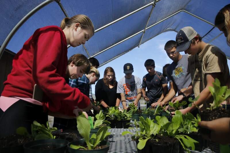 Sonoma Valley High School's agriculture and farming students have an opportunity to attend the national FFA conference this October.
