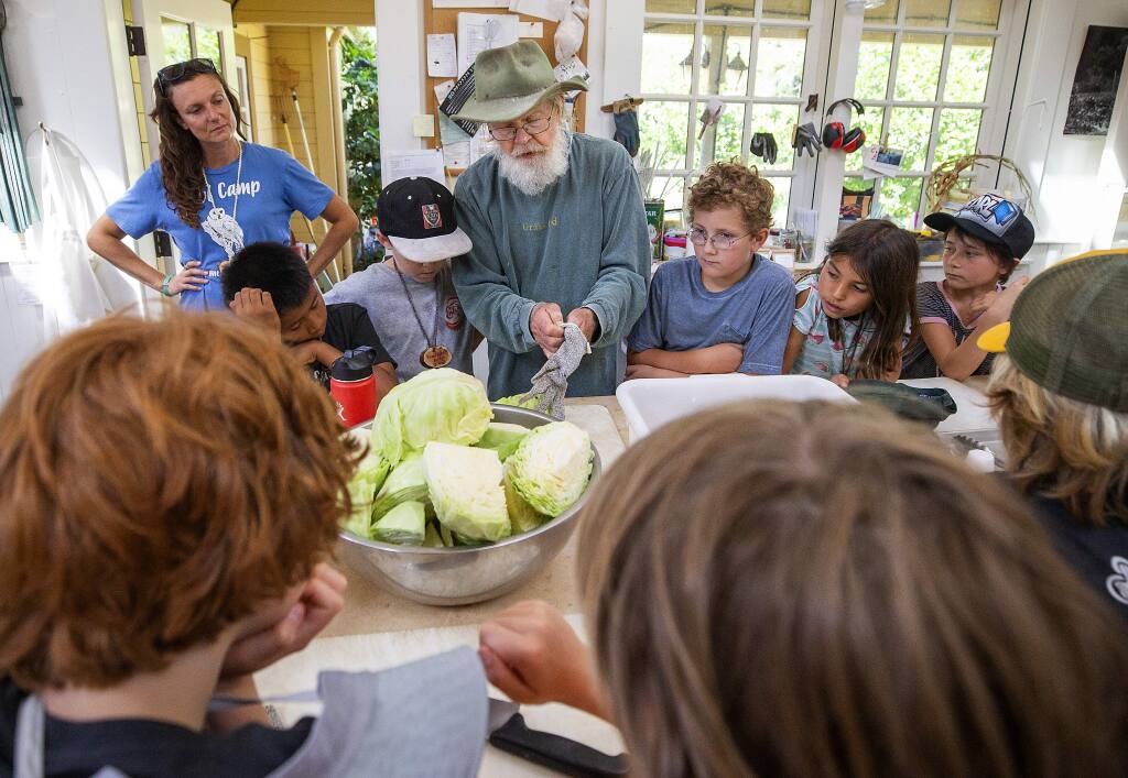 Lou Preston, center, teaches campers how to make sauerkraut during a class on fermentation at the LandPaths Owl camp at Preston Farm in the Dry Creek Valley. (photo by John Burgess/The Press Democrat)