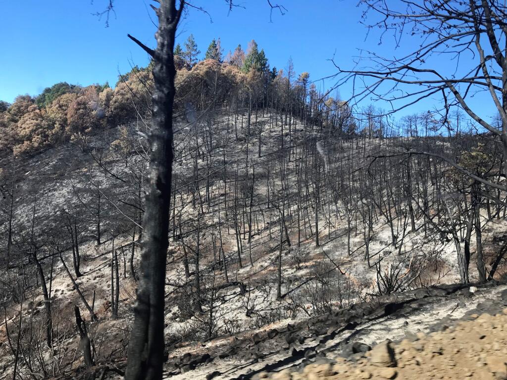 Hood Mountain Regional Park suffered intense fire damage over much of its area, leading to fears of flash flooding and mudslides in the event of heavy winter rains. (Sonoma County Regional Parks)