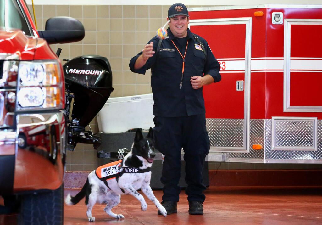 Windsor Fire Protection District canine handler, Capt. Mike Stornetta, rewards their new urban search-and-rescue dog, Rocket, after he successfully performed a task, in Windsor on Tuesday, Sept. 30, 2014. Rocket, a border collie and Malinois mix, was donated by the National Disaster Search Dog Foundation.(Christopher Chung / The Press Democrat file)