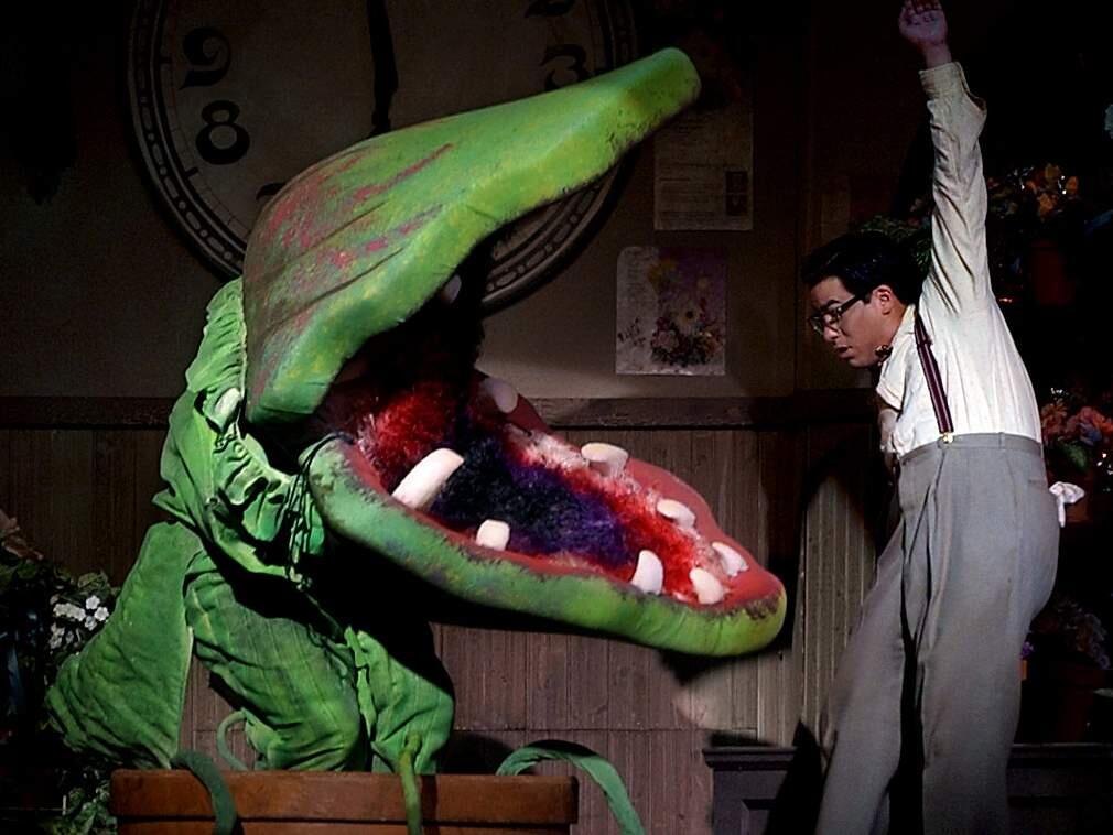 Seymour, played by James Paul Xavier, gets a jolt when a plant comes to life in the 2002 SRT production of 'Little Shop of Horrors.'' (PD FILE)