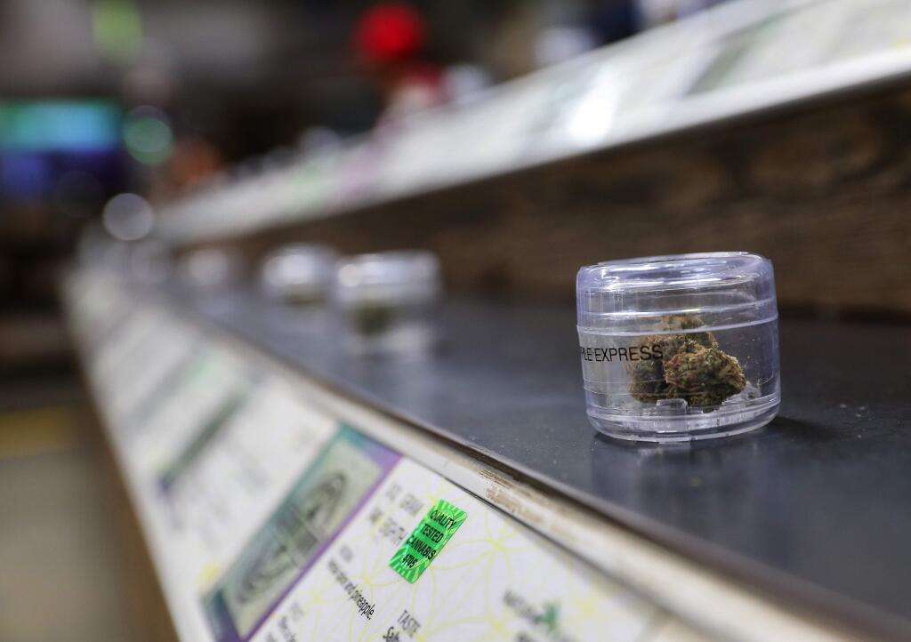 Cannabis sits in a sample container for customers to view and smell at OrganiCann, in Santa Rosa on Tuesday, September 19, 2017. (Christopher Chung/ The Press Democrat)