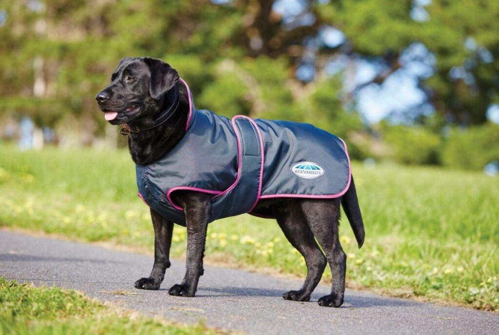 WeatherBeeta has created a line of cold weather coats for dogs.