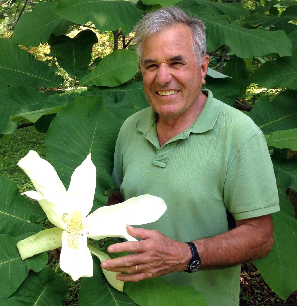 Peter Del Tredici of Harvard's Arnold Arboretum will visit Quarryhill Botanical Garden on Saturday, Sept. 26, to talk about nature, civilization and how the two co-exist in our cities. (Courtesy Quarrhill)