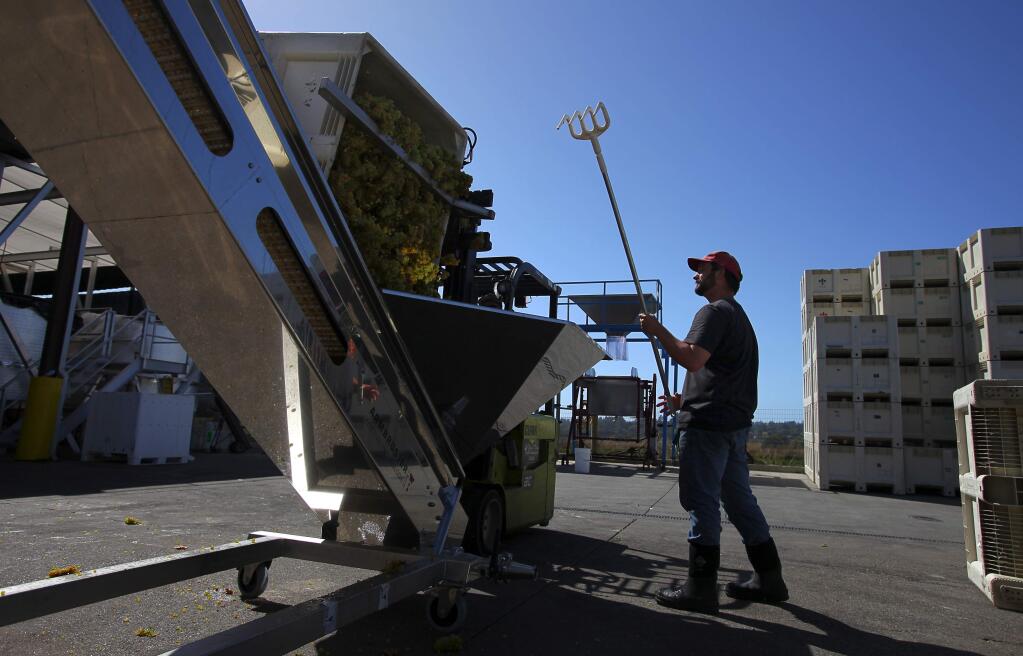 At a Balletto Vineyards and Winery vineyard near Santa Rosa, Wednesday Sept. 13, 2017, an air dryer is used to blow moisture from grapes in reaction to this weeks wet weather. (Kent Porter / The Press Democrat) 2017