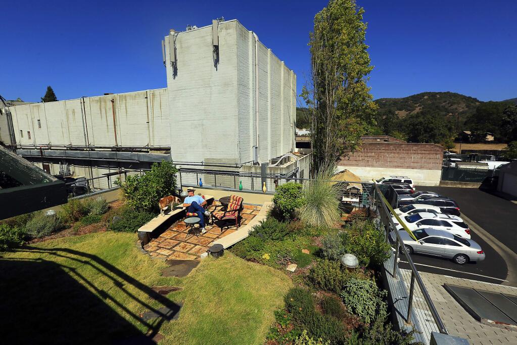 Jim Callahan relaxes with his dog on his living roof above the La Haye Art Center in Sonoma where Callahan has his home and art studio. (JOHN BURGESS / The Press Democrat)
