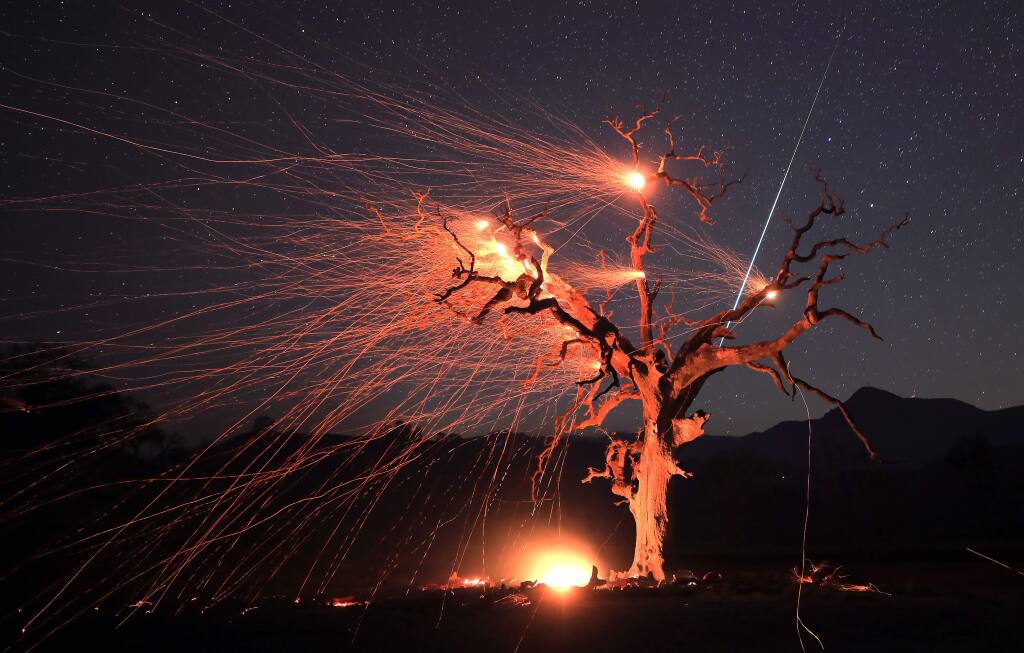 A meteor streaks across the sky as gusty winds create an ember cast on a valley oak tree burned by the Kincade fire, early Wednesday morning in Knights Valley east of Healdsburg, Wednesday, Oct. 30, 2019. (Kent Porter / The Press Democrat) 2019