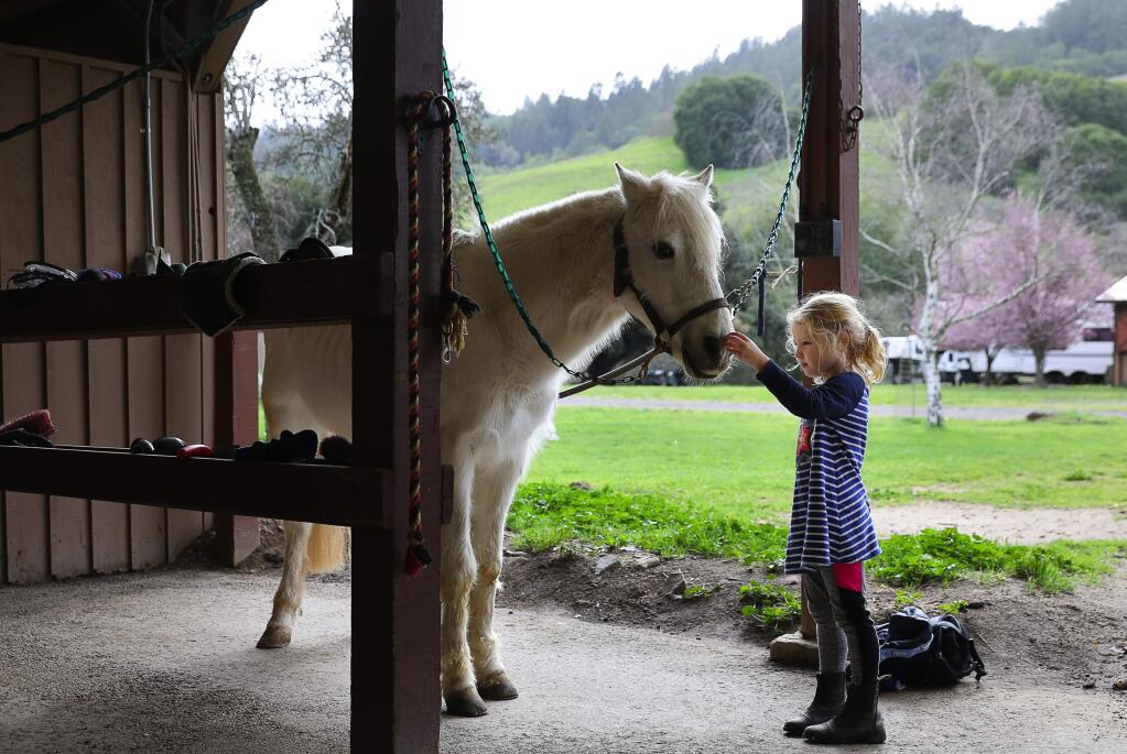 Magnolia Jones Briggs, 5, pets Froggy before her group horseriding lesson at Kilham Farm, in Nicasio on Tuesday, March 13, 2018. (Christopher Chung/ The Press Democrat)