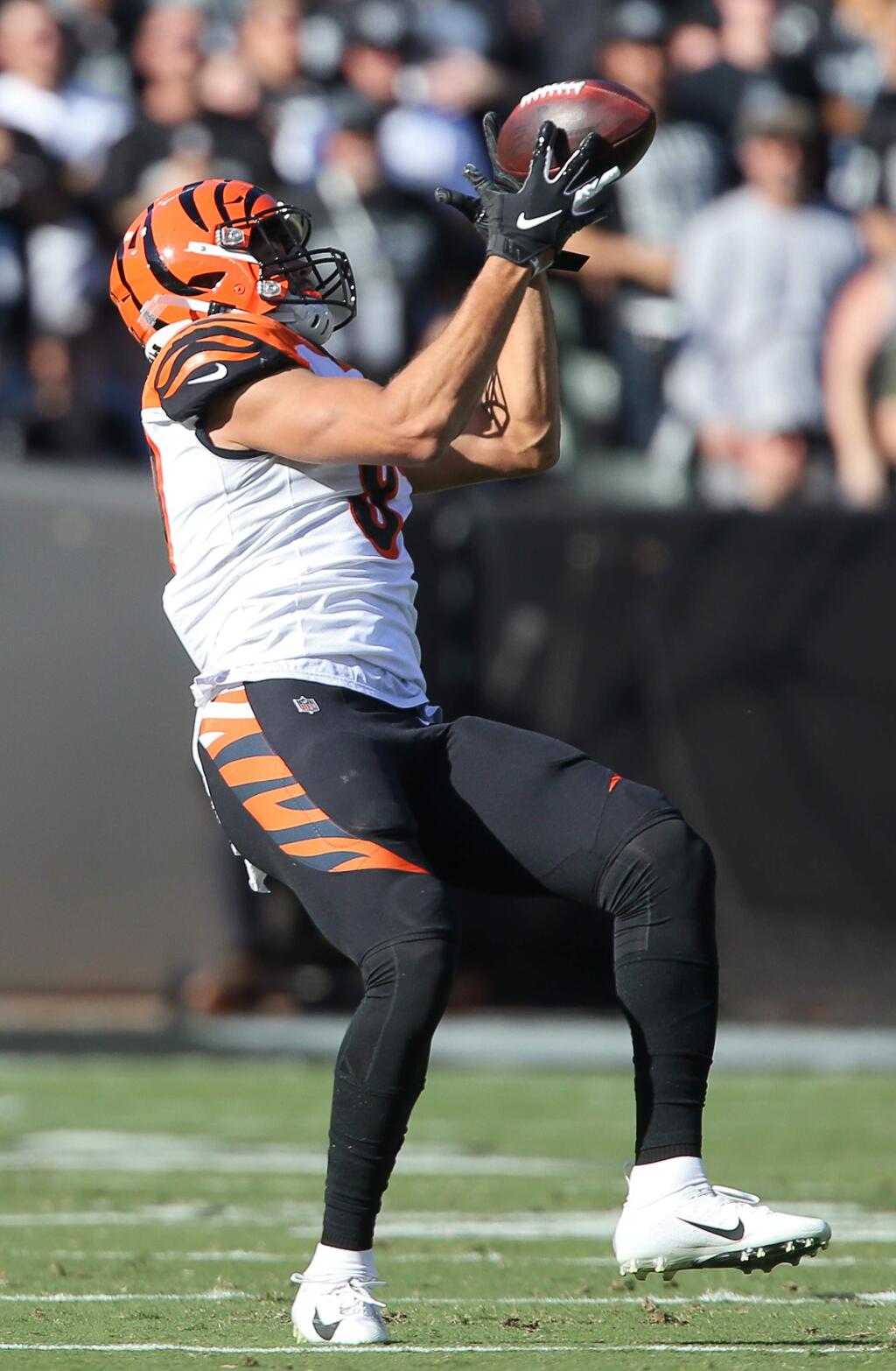 Cincinnati Bengals tight end C.J. Uzomah bobbles the ball during a catch against the Oakland Raiders, during their game in Oakland on Sunday, November 17, 2019. (Christopher Chung/ The Press Democrat)