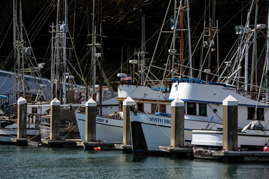 Fishing boats in Bodega Bay (PD FILE)