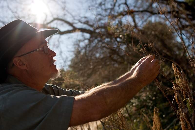 Amos Clifford reaches out to feel the texture of a dried plant during a Shinrin-yoku walk beside Lake Ralphine in Santa Rosa, Calif., on Jan. 22, 2014. (Alvin Jornada / The Press Democrat)