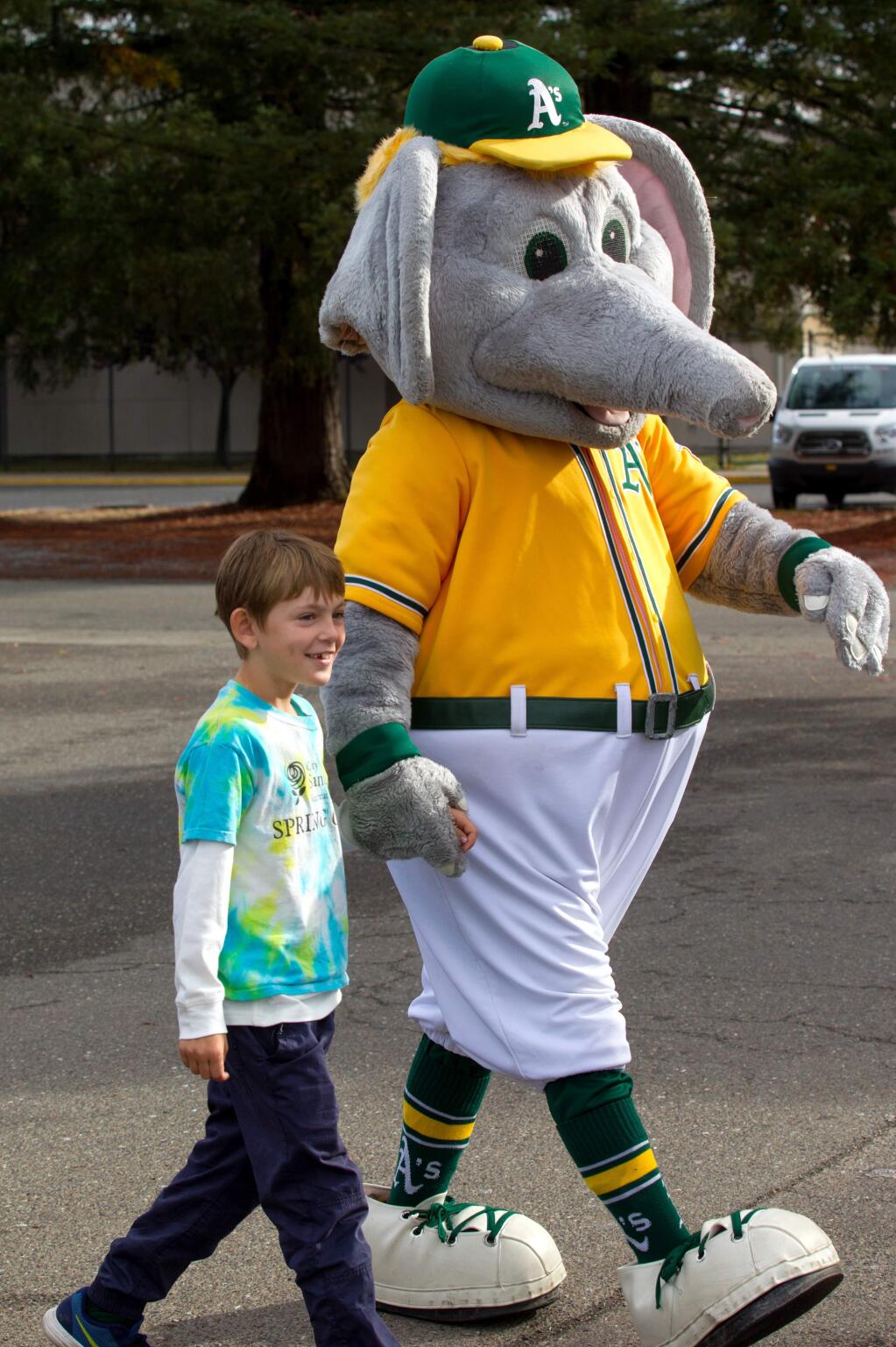 Loren Jade Smith, 9, of Santa Rosa, walks with 'Stomper,' the A's mascot, at Mark West Little League's fields in Santa Rosa on Friday, Oct. 20, 2017. Loren received gifts from the A's and others after he wrote a letter about losing his home and A's memorabilia in the fires. (Photo by Darryl Bush / For The Press Democrat)