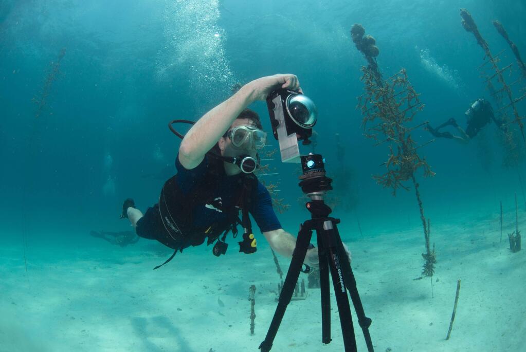 In this Aug, 9, 2014 photo provided by Catlin Seaview Survey, Mitchell Tartt, of the Office of National Marine Sanctuaries, trains to take 360-degree panoramas of the corals off the coast of Islamorada, Fla. U.S. government scientists hope people will soon be able to go online and get a 360-degree view of reefs and other underwater wonders, much like Google Map's 'street view' lets people look at homes. (AP Photo/Catlin Seaview Survey)