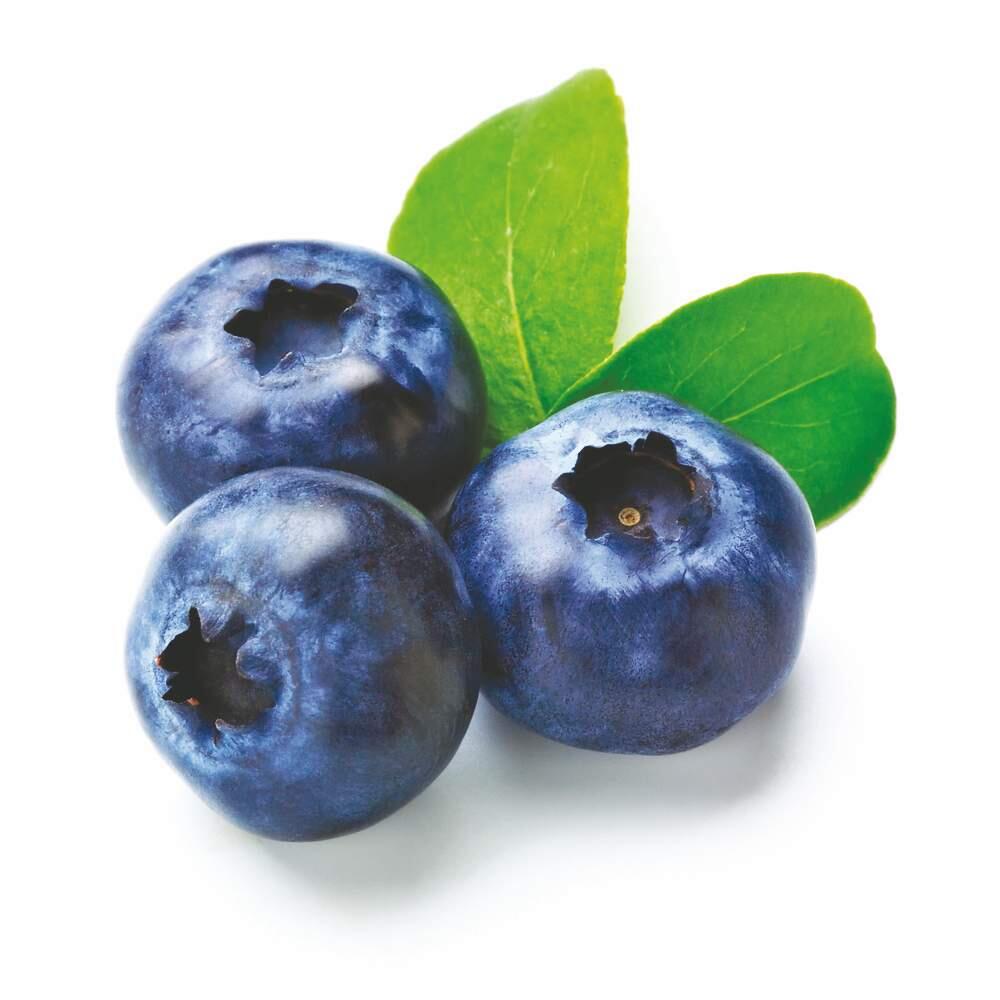 berry blueberry