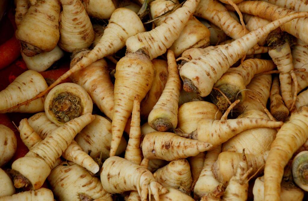 Parsnips are one of the wonderful root vegetables that come into season in October, just made to be cut into half-inch cubes, roasted in a 350 F oven for 45 minutes or until browned, caramelized, and concentrated in flavor, and then added to fall stews.
