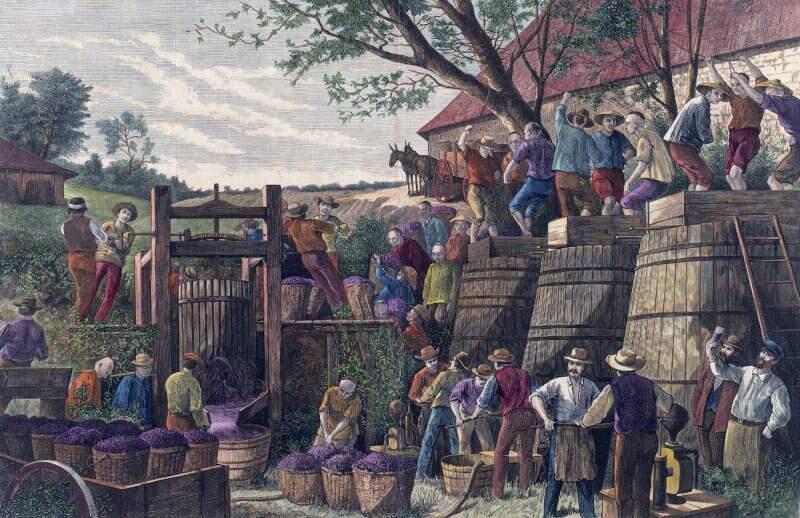 Artist P. Frenzeny's 19th century illustration of workers at a California wine press shows a mostly Chinese labor force. Efforts are underway to build a 'ting' at Depot Park to honor their unsung legacy.