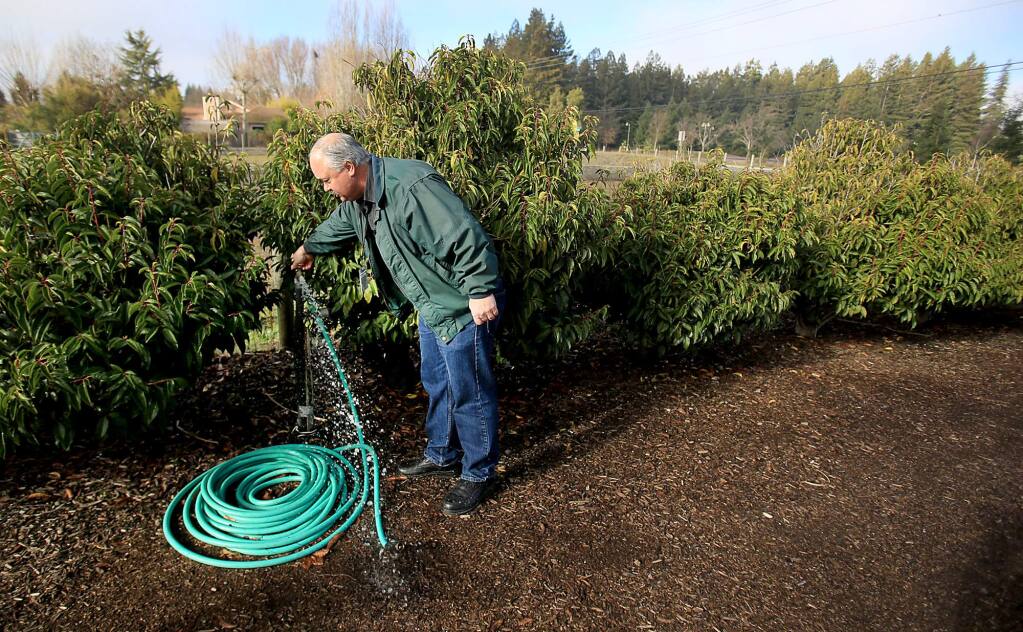 James Dentoni an environmental health specialist with Sonoma County Department of Health Services runs well water from a faucet on East Cotati Ave., before he takes a sample test for EColi in Rohnert Park, Thursday Dec. 31, 2015. Two wells in the area tested positive for the bacteria. (Kent Porter / Press Democrat) 2015