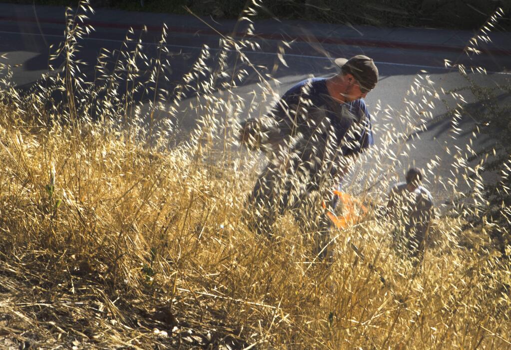 Petaluma, CA, USA. Wednesday, June 22, 2016._ Dusty Price (L) and Riley Perkins of Keystone Tractor Services clear out weeds along Bantam Way. (CRISSY PASCUAL/ARGUS-COURIER STAFF)