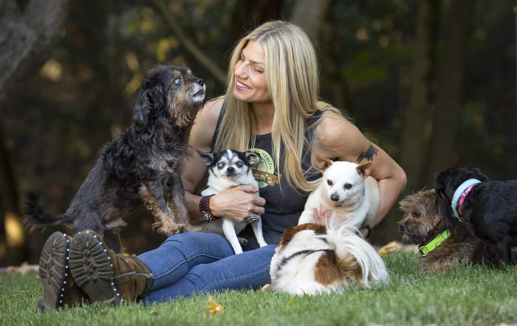 Odessa Gunn partnered with former professional bicycle rider Floyd Landis to start Odessa's Essential Health for Pets, a line of CBD products she gives to some of her dogs with disabilities. (photo by John Burgess/The Press Democrat)