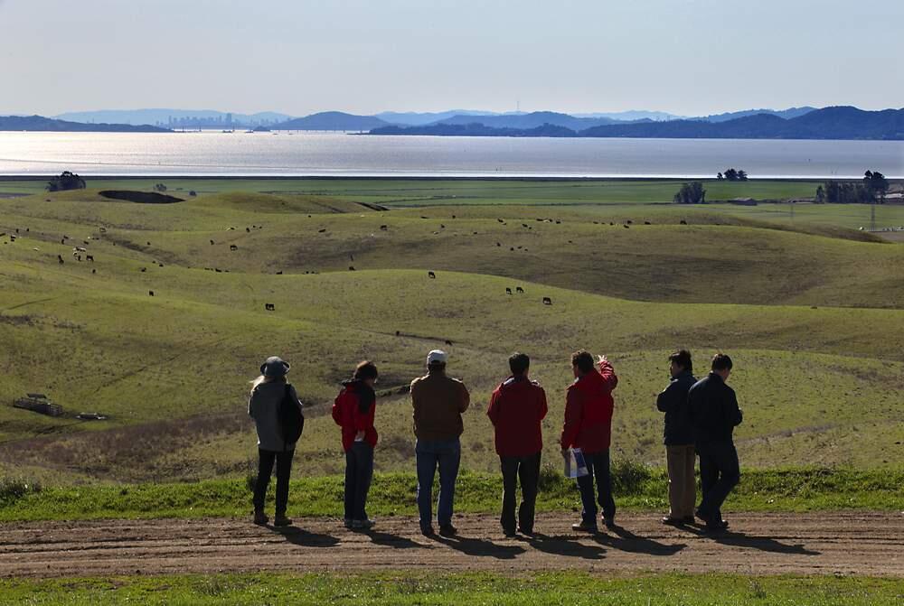 Sonoma Land Trust and National Oceanic and Atmospheric Administration officials give a tour of the Sears Point Ranch project to Japanese scientists on Wednesday. The 2,327 acre site extends from Infineon Raceway to the bay. Farmland near the bay---the green swath in the middle of the picture--will be flooded and restored as a tidal wetland.
