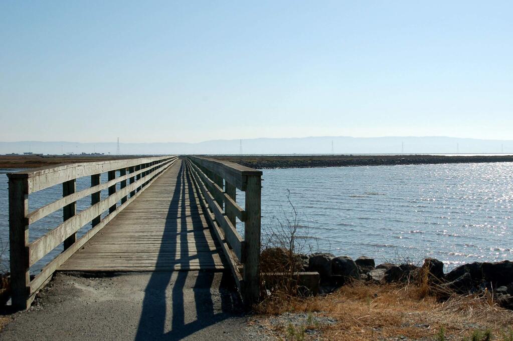 The Hayward Shoreline loop is a 3.4-mile walk exploring the bayshore marshlands of the Hayward Regional Shoreline, one piece of the San Francisco Bay Trail. (Tracy Salcedo)