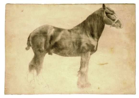 Edgar Degas study for 'Plough Horse,' ca. 1860-61, graphite drawing.