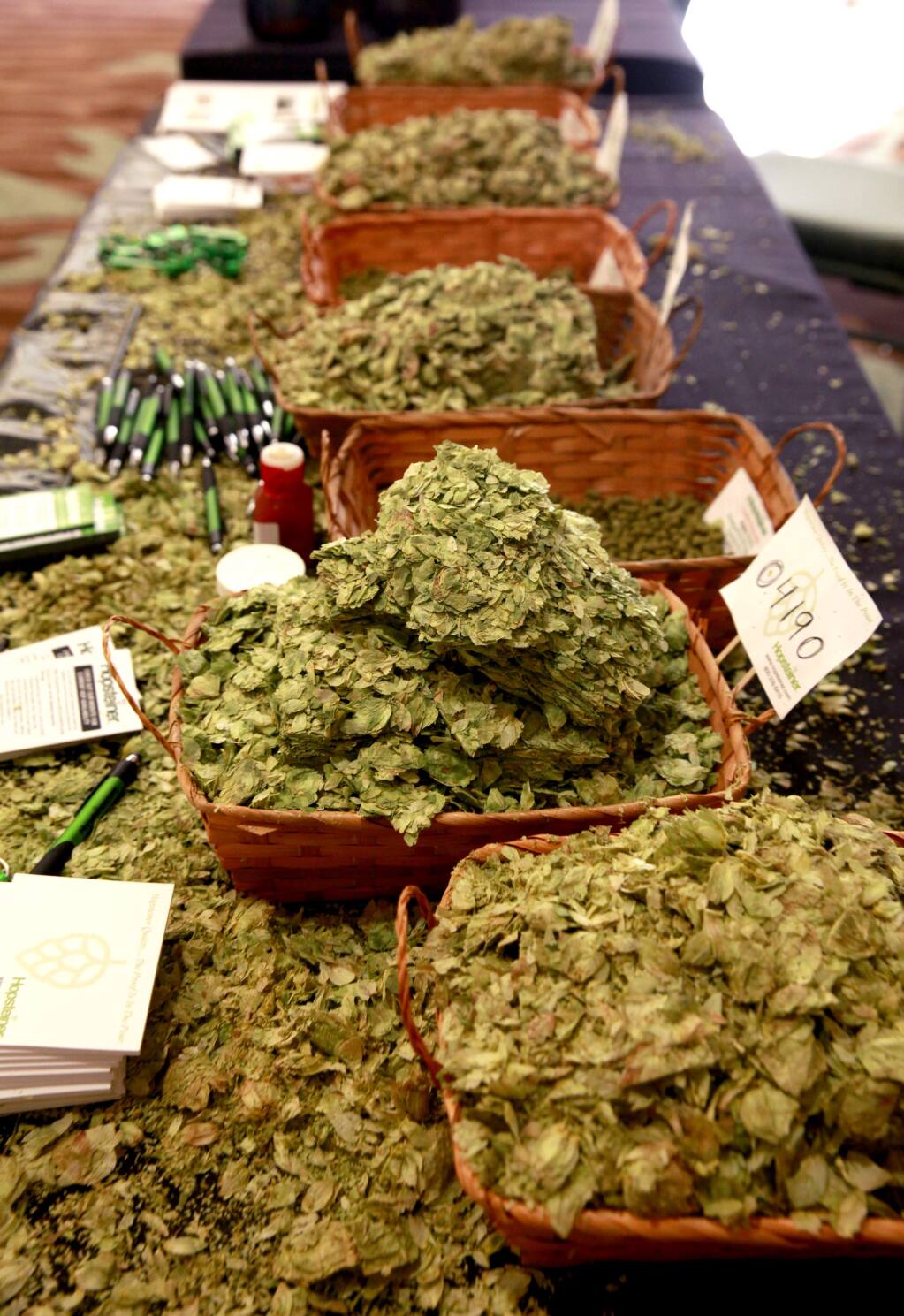 A variety of hops was on display at the Hopsteiner booth during a meeting of the California Craft Brewers Association at the Hyatt Vineyard Creek Hotel in Santa Rosa, California on Tuesday, November 4, 2014. (BETH SCHLANKER/ The Press Democrat)
