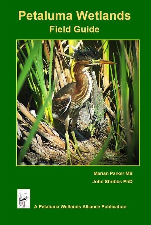 'The Petaluma Wetlands Field Guide' is the No. 8 bestselling book in Petaluma this week.