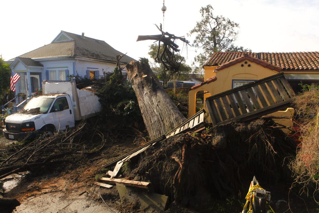 Petaluma, CA, USA. Tuesday, February 21, 2017._ A crew from Sonoma County Tree Experts remove a Monterey cypress tree that fell between two homes on Wilson Street. (CRISSY PASCUAL/ARGUS-COURIER STAFF)