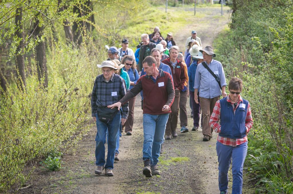 A group of hikers make their way along the newly opened Discovery Trail along the Laguna de Santa Rosa, in Santa Rosa, Calif. Saturday, February 27, 2016. Laguna Foundation officials led a guided hike sharing stories of the restoration effort.