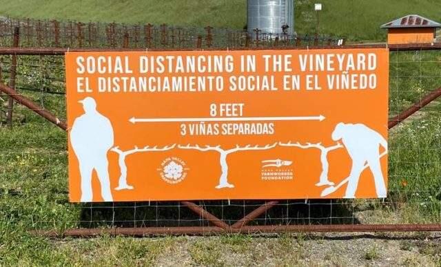Napa Valley Grapegrowers (NVG) are providing protective masks, posters for the workplace, and vineyard signs to ensure the health and safety of the vineyard and winery workforce. (Courtesy Photo)