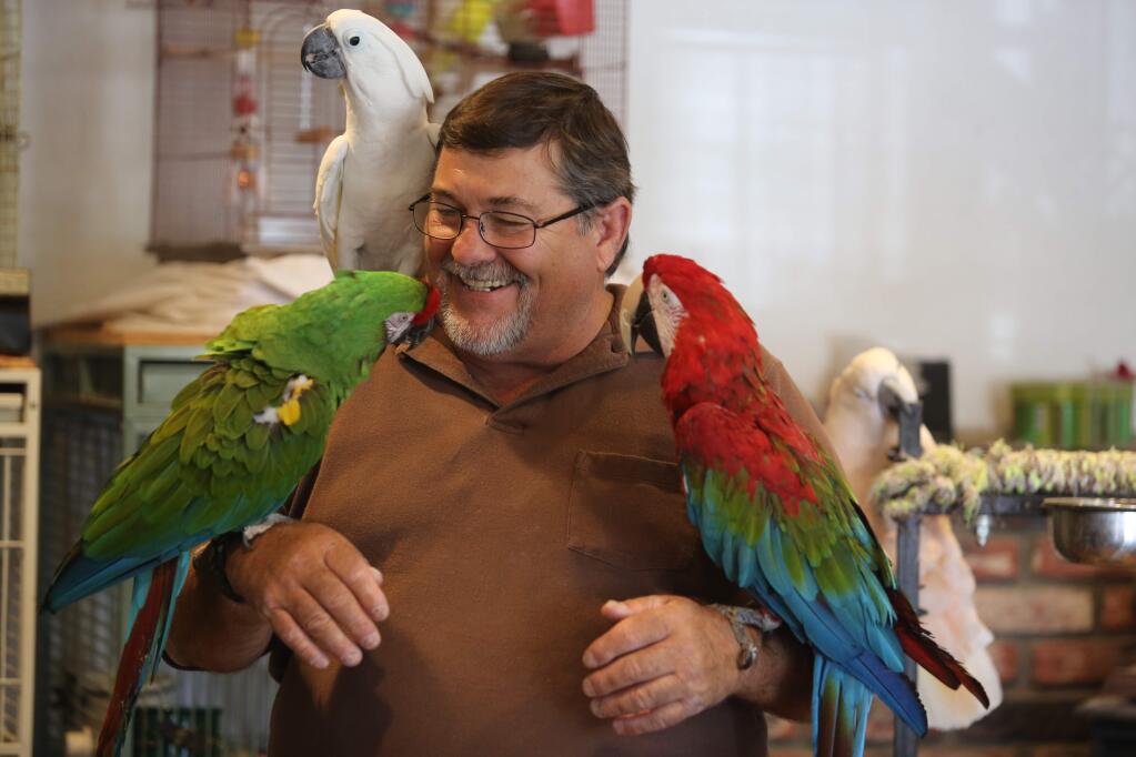 John Lloyd, operator of Birds of a Feather Rescue, with some of his rescues from left to right, Emma, Boo Boo, Popeye and Ollie, Friday, July 17, 2015. (CRISTA JEREMIASON / The Press Democrat)