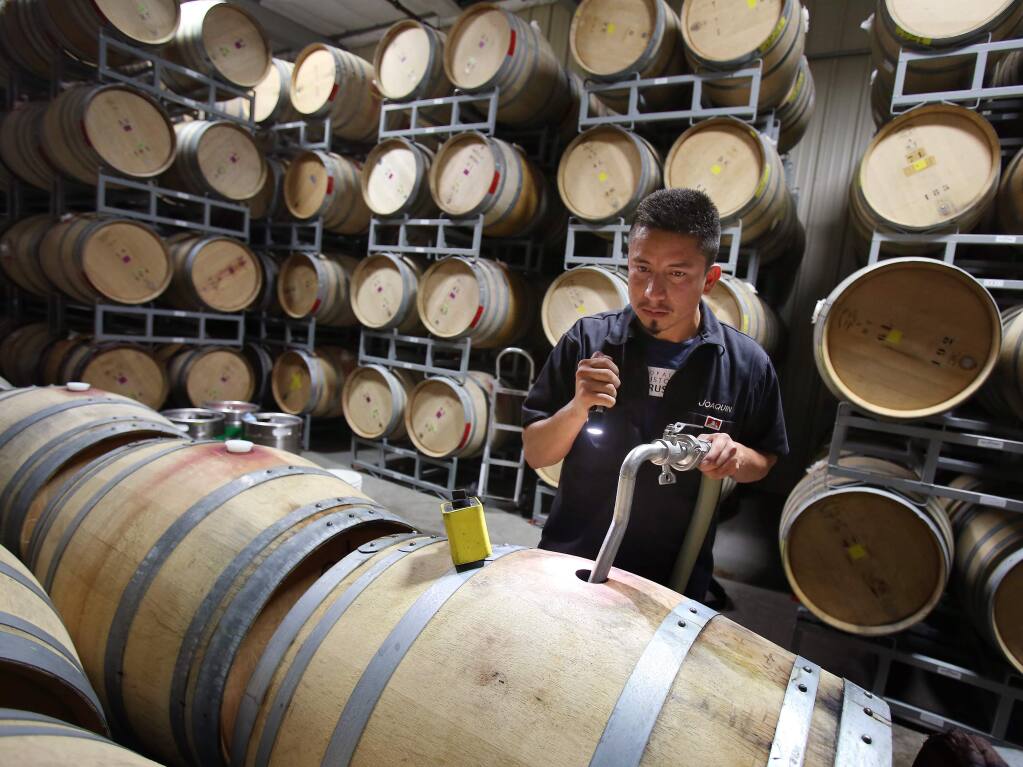 Joaquin Reyes fills up oak barrels with wine from the many full tanks at Punchdown Cellars in Santa Rosa on Wednesday, July 3, 2013. Many wineries are concerned about whether there be enough space in the tanks to crush all the grapes from this year's particularly big harvest. (Conner Jay/The Press Democrat)