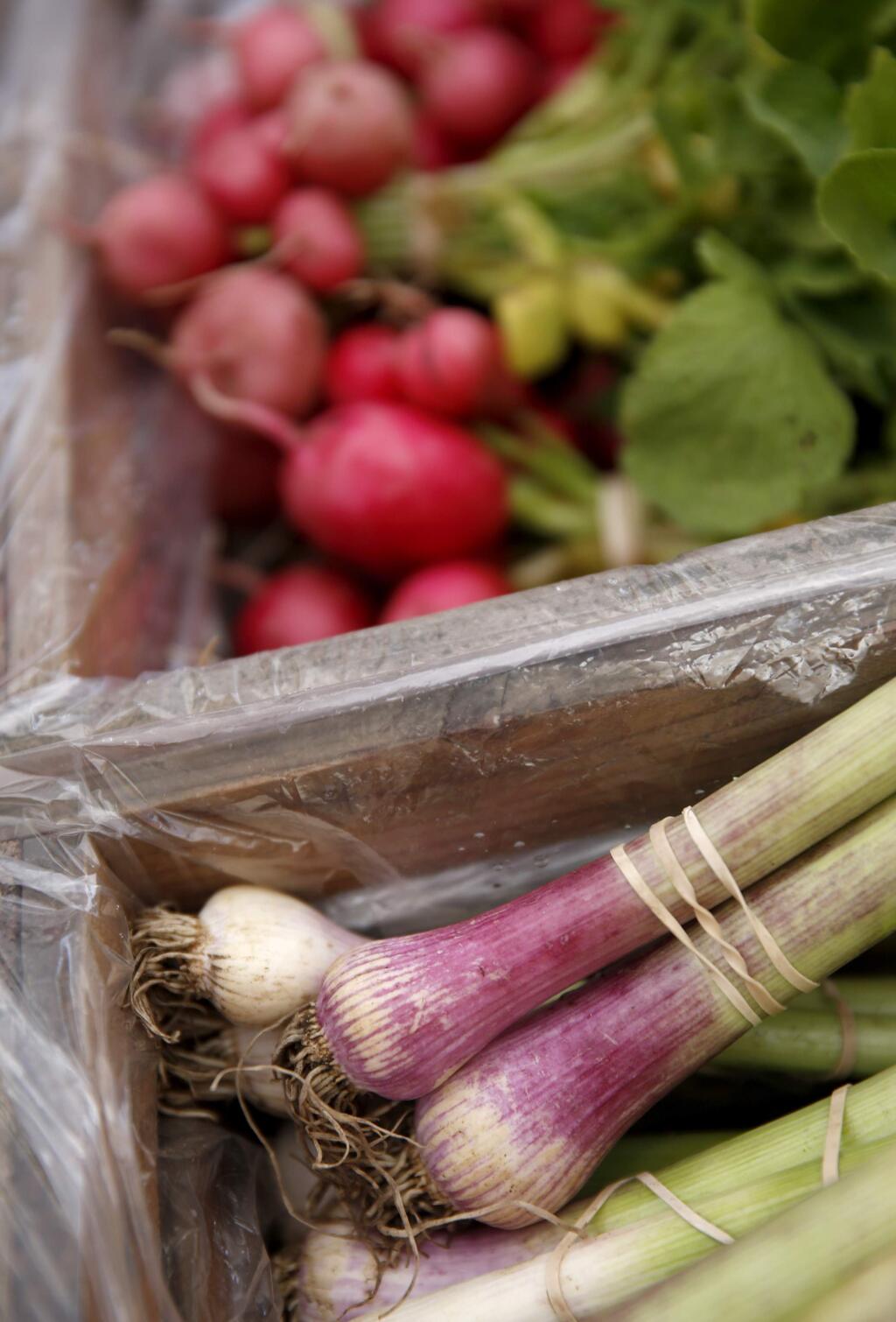 Onions and radishes sit for sale at the Petaluma East-Side Farmers Market at Lucchesi Park on Tuesday, April 28, 2015 in Petaluma, California . (BETH SCHLANKER/ The Press Democrat)