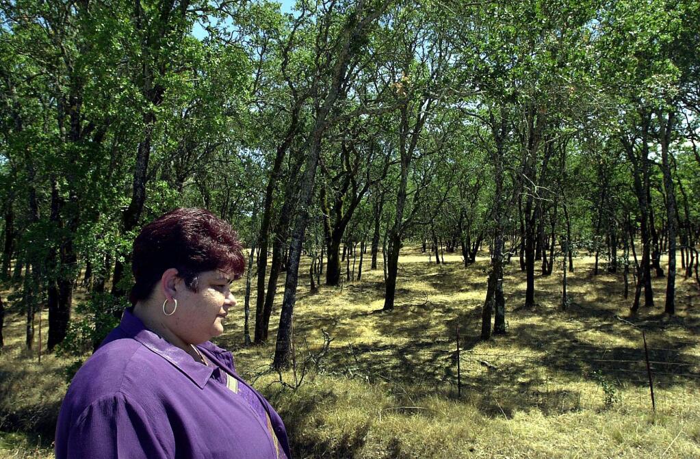 Lytton Rancheria Chairwoman Margie Mejia standing near some of the land the tribe wants develop near Windsor. (The Press Democrat, 2001)