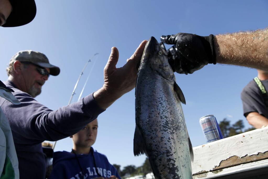 Deckhand Michael Wood, right, hands a salmon off to a passenger after a day of sport fishing on the 'New Sea Angler' in Bodega Bay, on Monday, July 9, 2012. (BETH SCHLANKER/ The Press Democrat)