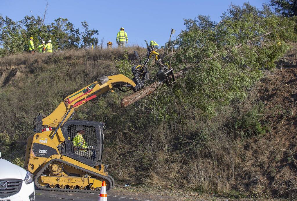 A PG&E crew removes trees and bushes in a 40 foot swatch under high-voltage transmission lines from the Fulton substation along River Rd. east of Olivet Rd. (photo by John Burgess/The Press Democrat)