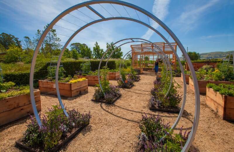 The 'farm garden' features beds of kitchen vegetables and herbs. Check it out at the 'Sunset' celebration weekend, May 14 and 15.