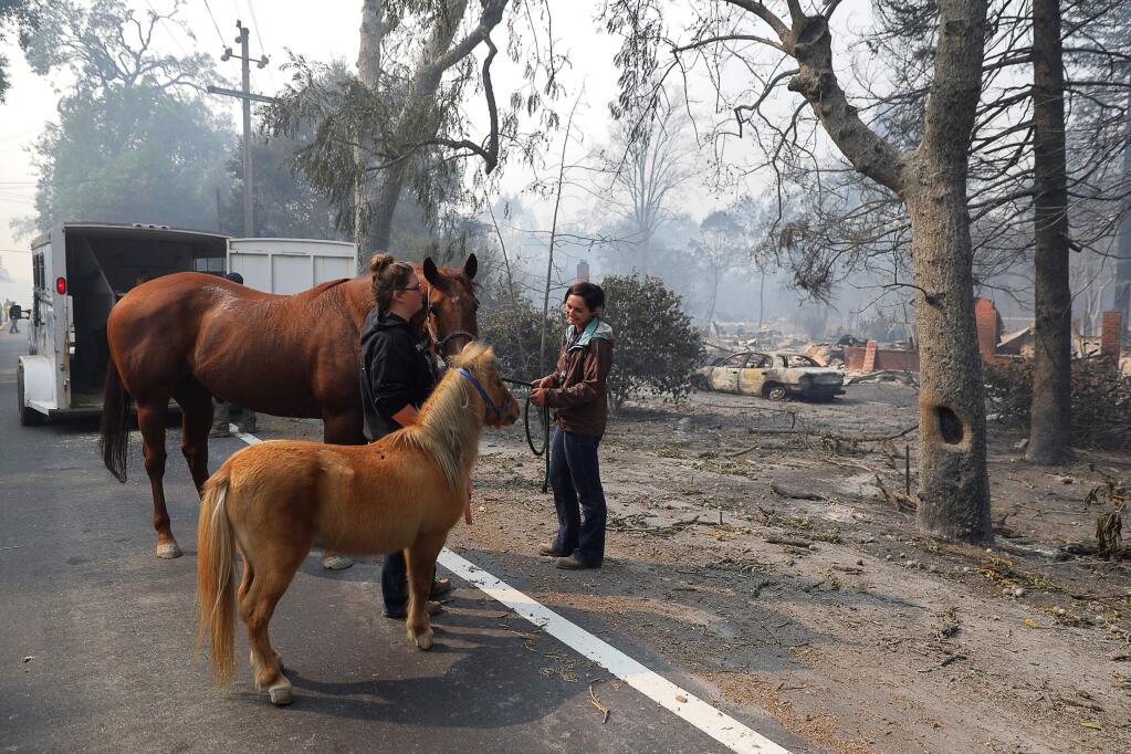 Dr. Sara Lynn Specht, right, and Lizzie Sonnichsen, both with Sonoma Marin Veterinary Service, work on evacuating a horse, and miniature horse, from the Mark West Springs Road area, in Santa Rosa on Tuesday, October 10, 2017. (Christopher Chung/ The Press Democrat)