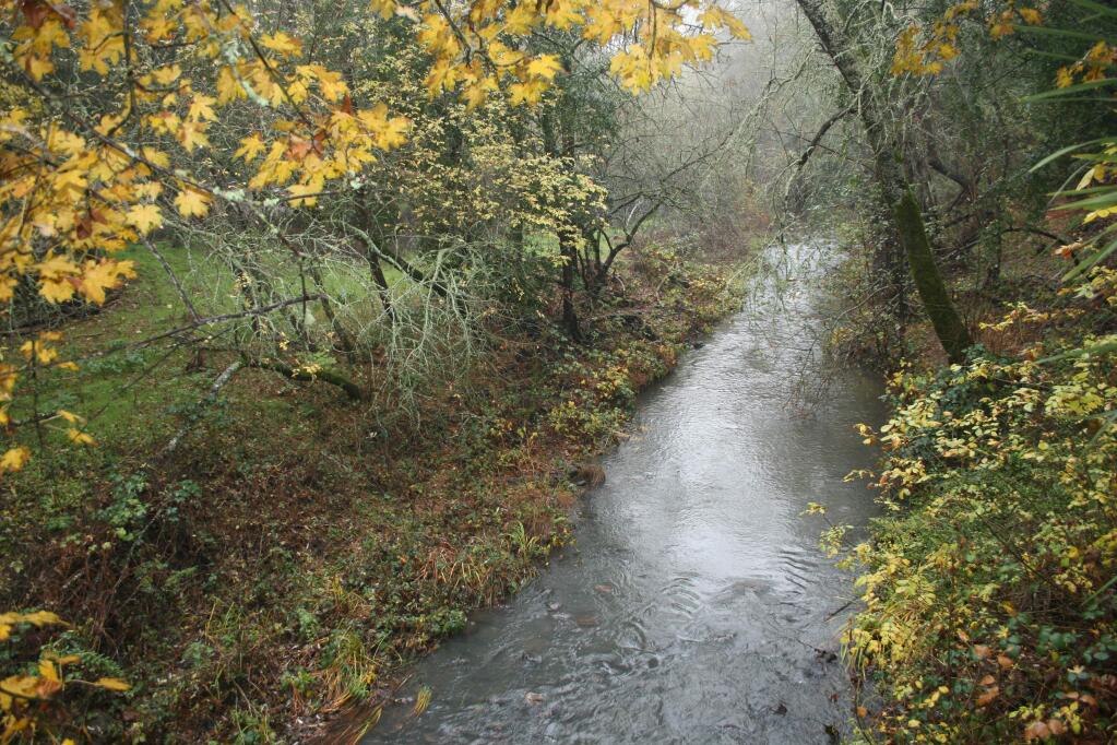 Calabazas Creek flows through the verdant landscape near Glen Ellen. (Courtesy AUIP.org)