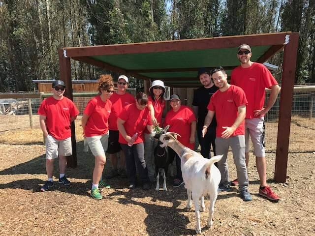 Moss Adam's employees (from left) Ryan Strachan, Victoria Chamara, Paul Tucci, Michelle Lanstra, Lingli James, Heather Holliday, Freddy Mattingly, Adam Cooper and Taylor Janowicz shared a snack with a goat at Sonoma County Wildlife during the Moss Adams Helping Hands.