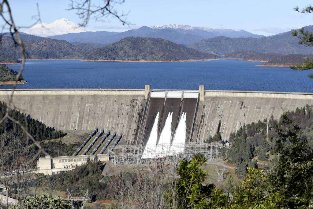 FILE - In this Jan. 12, 2017 file photo, water flows from five of the gates on Shasta Dam for the first time in six years. trio of salamander species in Northern California could complicate a controversial $1.4 billion public works project to heighten the Shasta Dam, the state's largest reservoir. The Los Angeles Times reports Wednesday, Dec. 26, 2018, that two environmental groups filed a federal lawsuit last month asking a judge to force the U.S. Fish and Wildlife Service to determine if Shasta salamanders should be protected under the Endangered Species Act. (Greg Barnette/Record Searchlight via AP, File)