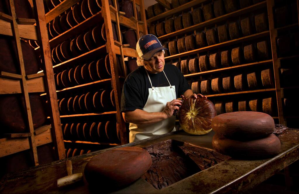 Gabriel Luddy coats a dry jack cheese wheel with cocoa in the aging room at Vella Cheese in Sonoma. Luddy's great-grandfather started the company 77 years ago and the family continues to make the cheese with the same methods. (photo by John Burgess/The Press Democrat)