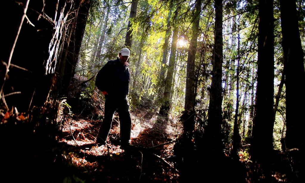 Chris Kelly, California program director of the Conservation Fund, tours a redwood grove cut decades ago at the Preservation Ranch near Annapolis, Tuesday, Dec. 29, 2015. (Kent Porter / Press Democrat)