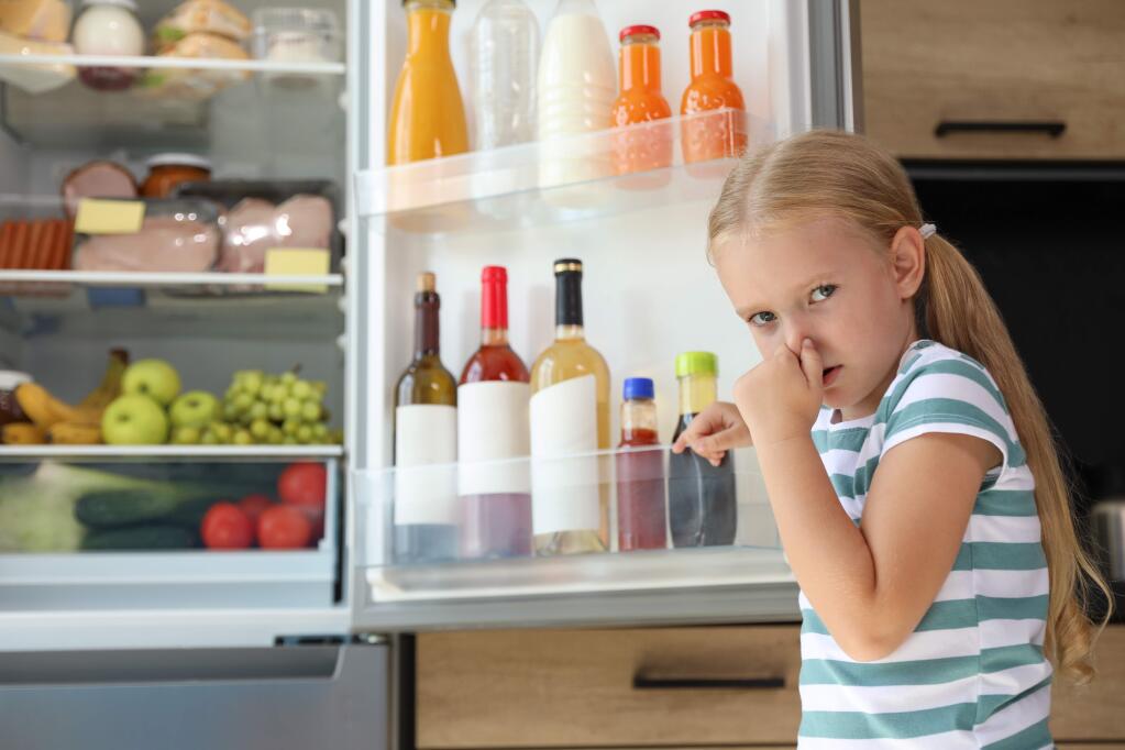 Such expressions reflect common assessments of local refrigerators, and private utilities, these days.