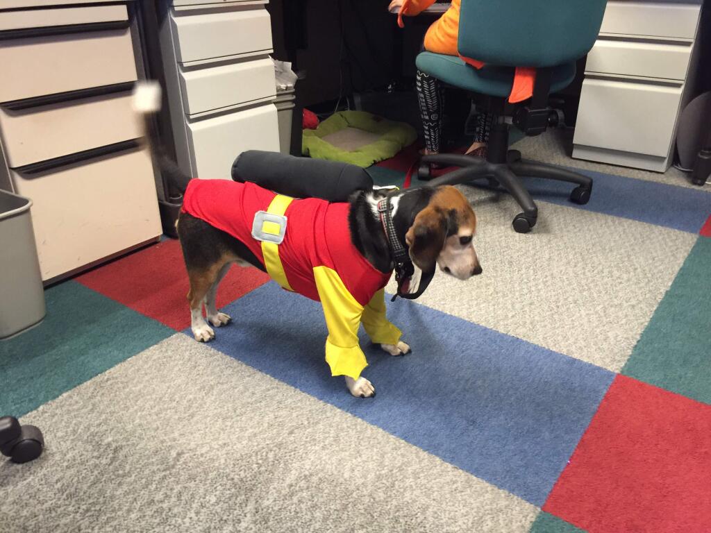 This scuba dog costume made bring-your-dog-to-work-day so much better. Submitted by George Buce.